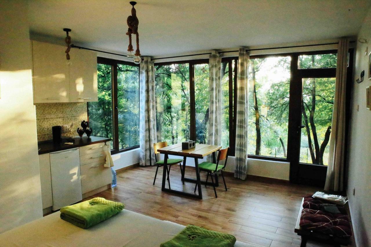 Donkey Farm Martinici - Farma Magaraca Martinici Bed and Breakfast Danilovgrad Εξωτερικό φωτογραφία